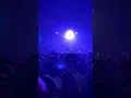 like roses - wrist || portland, or 08.11.26