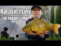 Download Lagu KARASIE I LINY: Porady dla Początkujących i Zaawansowanych! #teamkostek