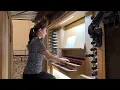J.S. BACH - Prelude in C minor, BWV 999 (Anne-Isabelle de Parcevaux, organ)