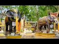 Lost in the Lanna Kingdom: A Chiang Mai Soundscape, Amazing Thailand