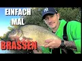 Angeln am Rhein - Diese MONTAGE fangt beim FEEDERN