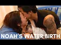 Download Lagu NOAH'S WATER BIRTH