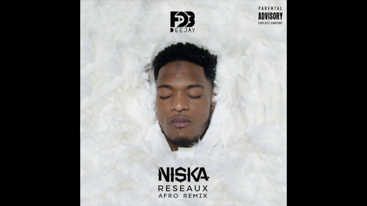 Niska - Réseaux Afro - Deejay FDB REMIX