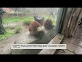 Rain closes Happy Hollow Park and Zoo in San Jose