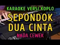 Download Lagu SEPONDOK DUA CINTA - RANA RANI  || KARAOKE NADA CEWEK || VERSI KOPLO