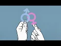 Download Lagu Women-only spaces under threat as 496 men in NSW change sex on birth certificate