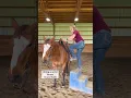 Download Lagu Riding as a Kid VS As an Adult #horses #horseriding #equestrian #farm