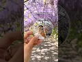 Download Lagu Try this pocket mirror selfie for your next trip😆 #selfie #phototips #travel #photohacks