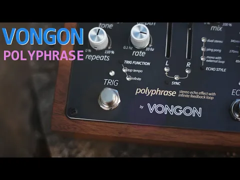 Vongon Polyphrase Stereo Echo | Delicious Audio