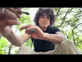 Animal Mintz Cake THCA Review