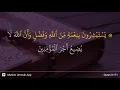 Download Lagu Al-'Imran ayat 171