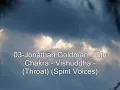 03-Jonathan Goldman _ 5th Chakra - Vishuddha - Throat Spirit Voi
