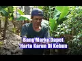 Lagu Bang Marko Dapet Harta Karun Di Kebun