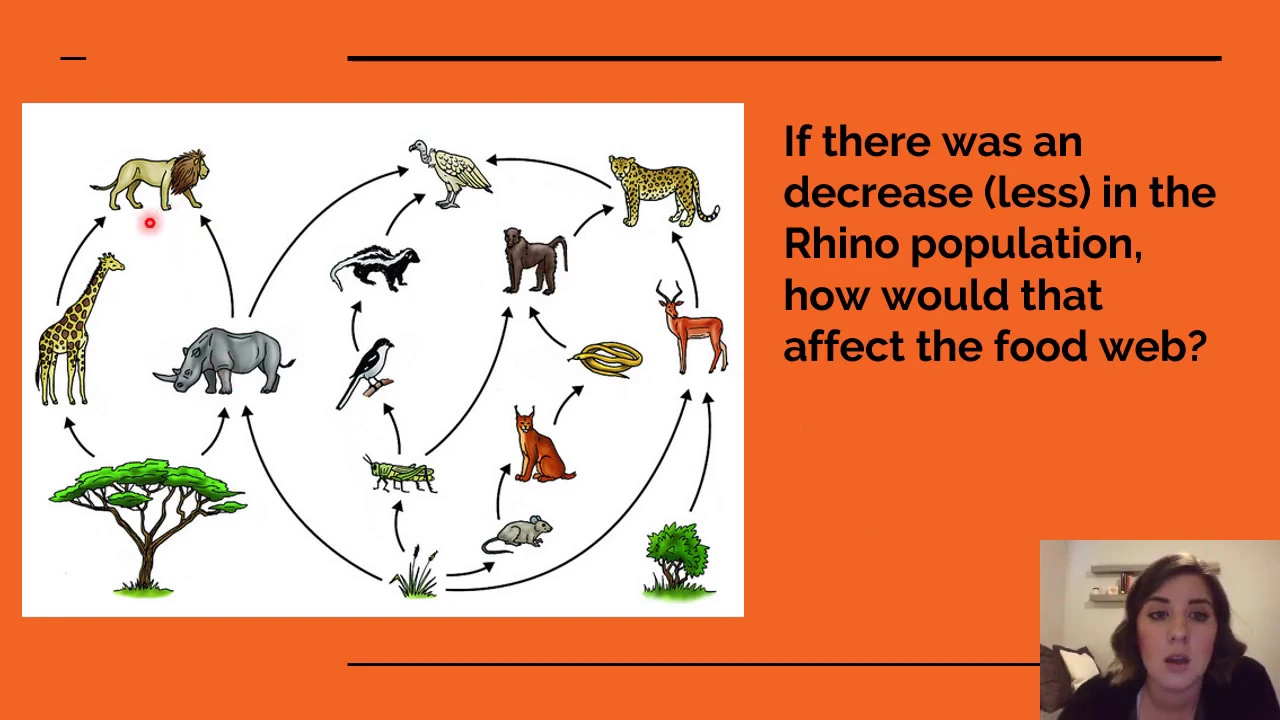Producers, Consumers, & Food Webs