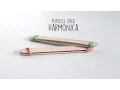 Download Lagu DIY: Popsicle Harmonica