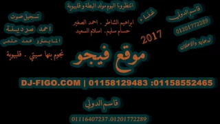 محمد حلمى الشعب يريد موقع فيجو دندنها
