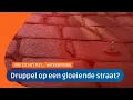 Download Lagu Regenwater opvangen | Hoe zit het met... afl. 6