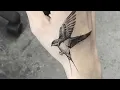 Discover the SECRET Meaning of Tattoo Swallow Designs