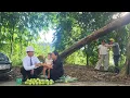 Download Lagu Wat voor vreselijke dingen zal de echtgenoot de alleenstaande moeder en de aardige CEO aandoen?