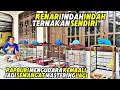 Download Lagu Review KENARI INDAH-INDAH‼️PAPBURI mengudara lagi jadi semangat MASTERING KENARI...