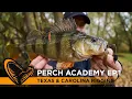 Baars Academy Episode 1 - Texas Carolina rigging NL ondertiteling