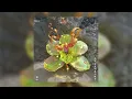Download Lagu Chris Lake, Aluna - More Baby