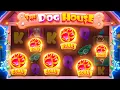 INSANE SESSION ON DOG HOUSE MEGAWAYS HUGE POTENTIAL