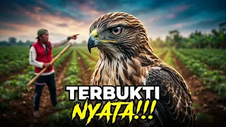 INI DIA LOKASI PENARIK UANG GAIB❗️