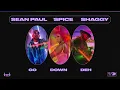 Spice ft. Sean Paul & Shaggy - Go Down Deh | Official Audio 🇯🇲🇯🇲🇯🇲