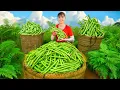 Download Lagu Use 3-Wheel Truck to Harvest Long Green Beans Goes to Countryside Market Sell | Phuong Harvest Life