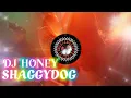 Download Lagu DJ TERBARU 2023 SHAGGYDOG_HONEY FULL BASS,BREAKBEAT TERBARU 2023,VIRAL REMIK TIKTOK 2023