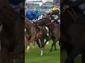 Download Lagu Horse tries to bite rival!