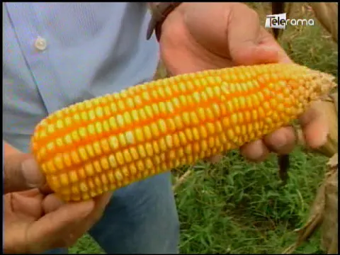 Ecuador Agropecuario 18-07-2018