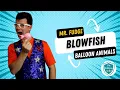 Blowfish Balloon Animal Tutorial
