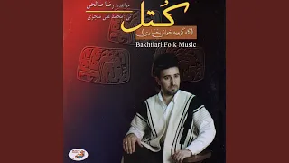                                  دندنها