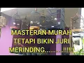 JENIS BURUNG MASTERAN MURAI BATU YANG BERKUALITAS DAN MURAH