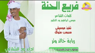 الفنان ود الشازلي 2025 فريع الحنة تسجيلات الغزال الاسمر ودحسان 