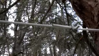 Installation of Dog Cable Run