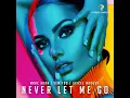 Never Let Me Go (Extended Mix)