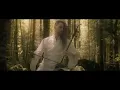 The Lord Of The Rings - Evenstar (The Two Towers) - Erhu Cover by Eliott Tordo