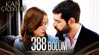 Kan Çiçekleri 388 Bölüm 