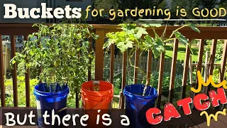 How to grow vegetables in small space in 5 gallon buckets best plants to grow in bucket garden