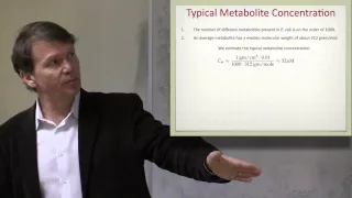 Lecture 17 Constraints