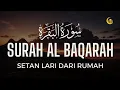Download Lagu SURAH AL-BAQARA - Setan kabur Dari Rumah - Penenang Hati dan Pikiran by MUKHTAR AL HAJJ