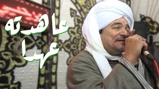 من أقوى حفلات الشيخ أمين ليله سيدى محمد نصير 2019 الجزء الرابع 