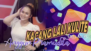 Download Tarik Siss Semongko - Anggun Pramudita - Kacang Lali Kulite | Live Koplo - Dwie Music | Arya Semesta MP3