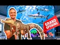 I Visited a 7 000 000 Aquarium