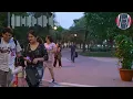 قاسم السلطان ام شامه