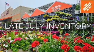NEW Perennials at Home Depot Garden Center Late July 2026