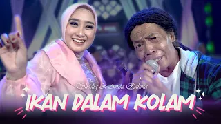 Download Ikan Dalam Kolam(Senyum Senyum Dulu Senyum Dari Jauh) - Sodiq Feat Anisa Rahma (Official Live Music) MP3